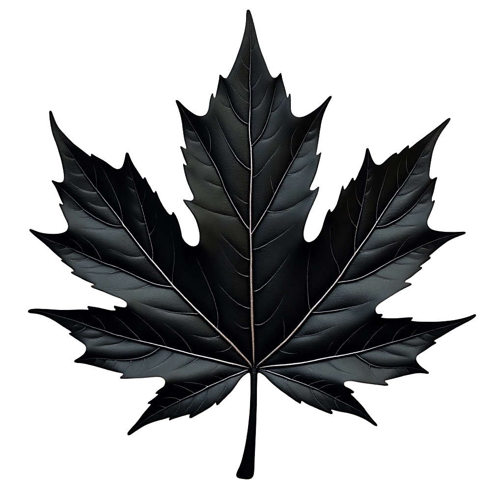 Black Maple Leaf